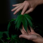 pexels-kindelmedia-7667706