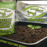 Substrat culture indoor