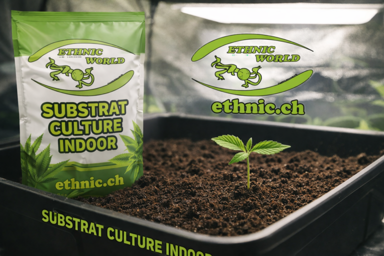 Substrat culture indoor